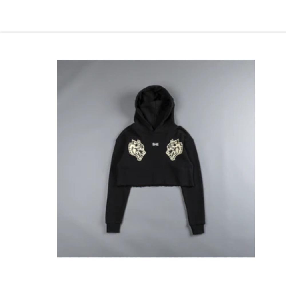Darc Sport Dual She Cropped Hoodie NWT